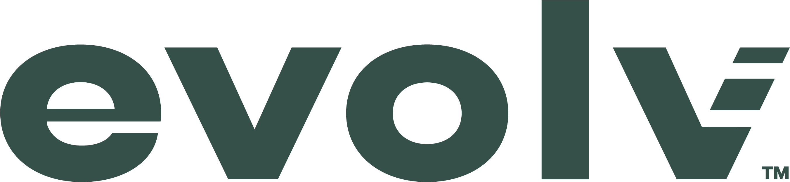 Evolv Logo (Break Sponsor).png